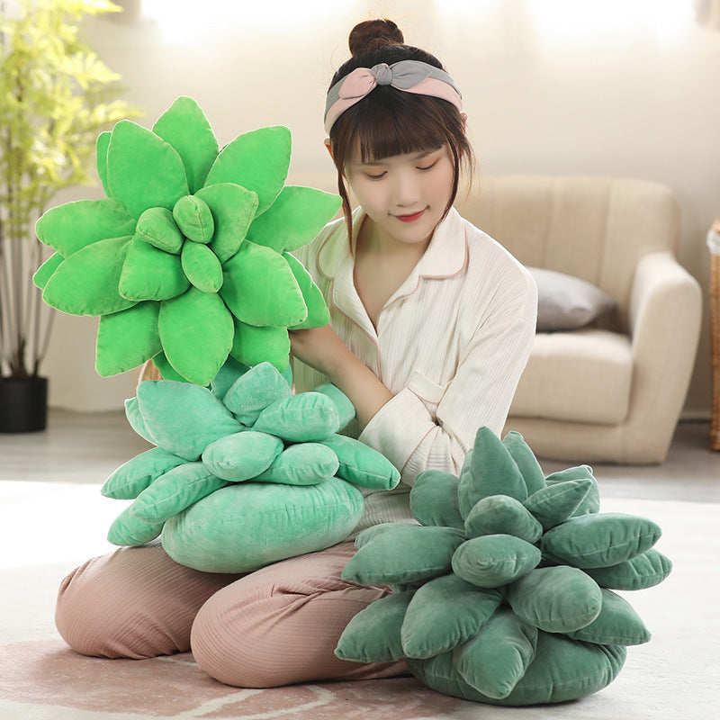 Succulent Plant Pillow